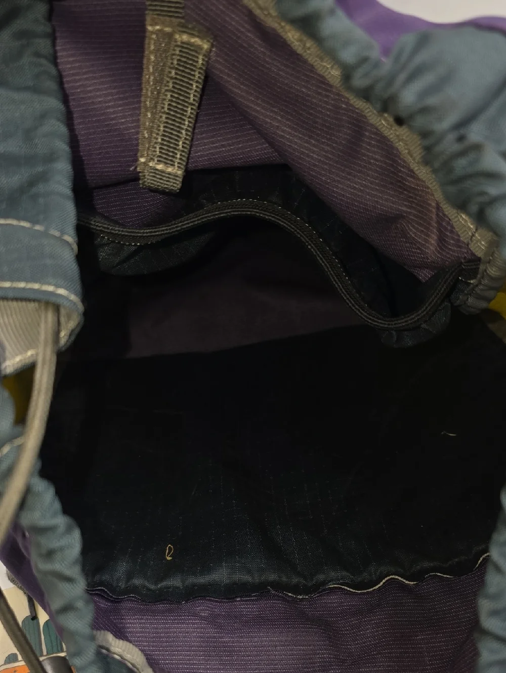 Cotopaxi Luzon 18L Purple / Yellow Daypack